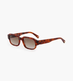 Baskèts | Sample_Eyewear 002 Havana Bio