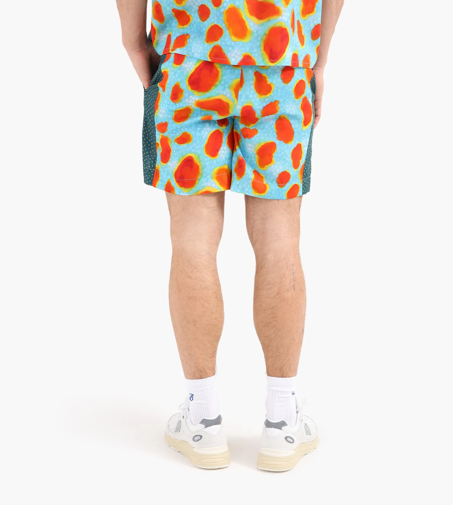 Potato Head Tokek Gecko Shorts Tokay Gecko