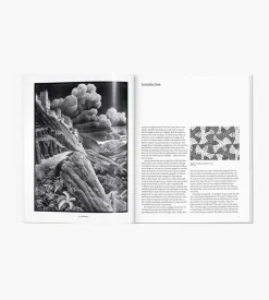 Taschen Escher basismonografie. Grafiek en Tekeningen