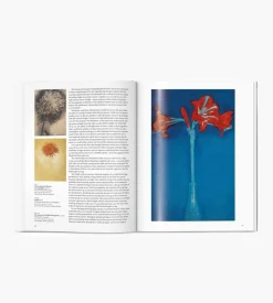 Taschen Mondriaan Basismonografie