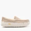 UGG M Ascot Wrap Tech Mustard Seed